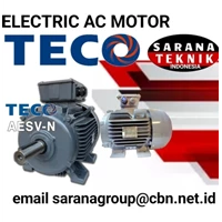 ELECTRIC AC MOTOR TECO AESV-N PT. SARANA TEKNIK GEARBOX