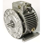 Mechanical Speed Variator Gearbox Type D051a 1