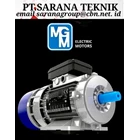 Electric Motor MGM PT Sarana Teknik BRAKE MOTOR MGM ITALY 1