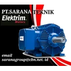 PT SARANA TEKNIK MOTOR LISTRIK ELEKTRIM ELECTRIC MOTOR 3 PHASE & gear reducer gearmotor CANTONI EMM 1