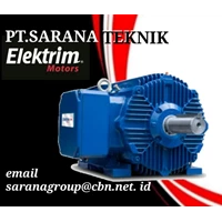PT SARANA TEKNIK MOTOR LISTRIK ELEKTRIM ELECTRIC MOTOR 3 PHASE & gear reducer gearmotor CANTONI EMM